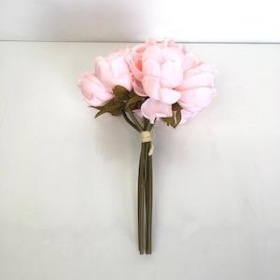 Light Coral Peony Bundle 25cm