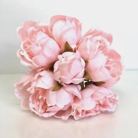 Light Coral Peony Bundle 25cm