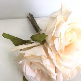 Light Peach Open Rose Bundle 24cm
