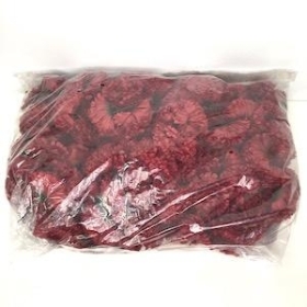 Burgundy Carnation Heads x 144