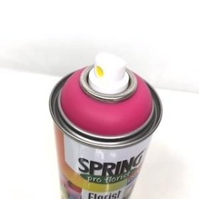 Erica Pink Flower Spray Paint 400ml