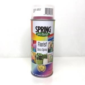 Erica Pink Flower Spray Paint 400ml