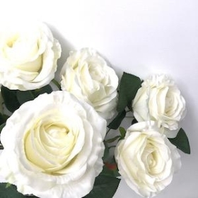 Ivory Rose Bush 46cm