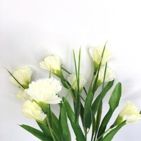 Ivory Spray Carnation Bush 32cm