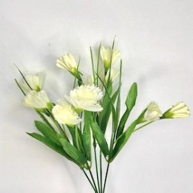 Ivory Spray Carnation Bush 32cm