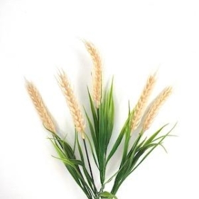 Natural Corn Bush 36cm