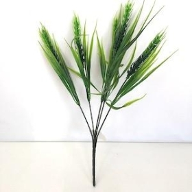 Green Corn Bush 36cm