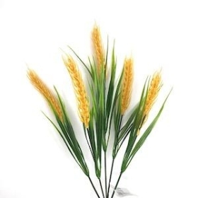 Yellow Corn Bush 36cm