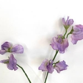 Lilac Sweetpea 46cm