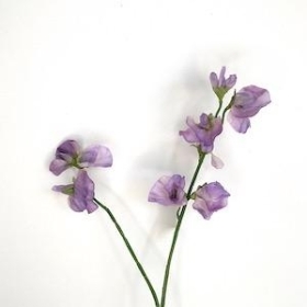 Lilac Sweetpea 46cm
