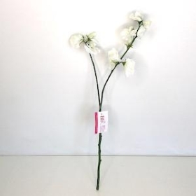 Ivory Sweetpea 46cm