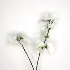 Ivory Sweetpea 46cm