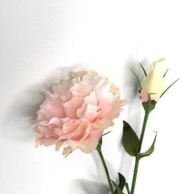 Pale Pink Lisianthus 63cm