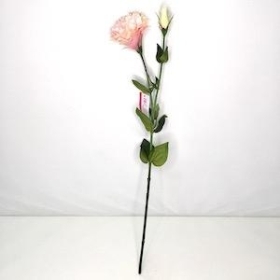 Pale Pink Lisianthus 63cm