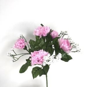 Pale Pink Carnation Bush 27cm