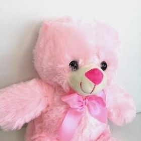 Pink Teddy Bear 25cm