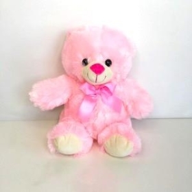 Pink Teddy Bear 25cm