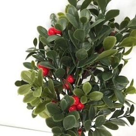 Red Berry And Boxwood Bundle 30cm
