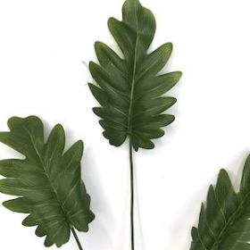 Green Philodendron Spray 68cm