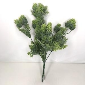 Green Frosted Hop Bush 32cm