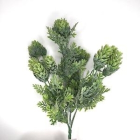 Green Frosted Hop Bush 32cm