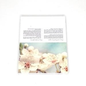 White Blossom Folding Card x 25