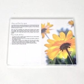 Yellow Flowers Folding Card x 25