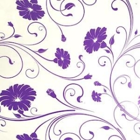 Purple Daisy Cellophane 100m