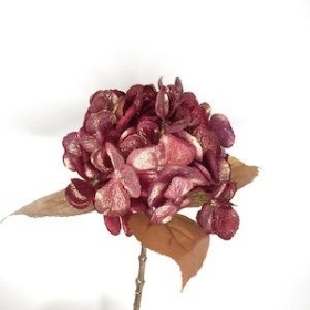 Burgundy Glittered Hydrangea 45cm