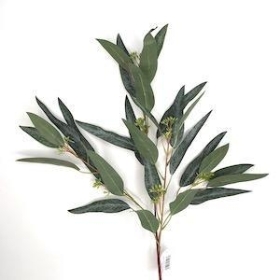 36 x Green Nicoli Eucalyptus 84cm