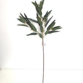 36 x Green Nicoli Eucalyptus 84cm