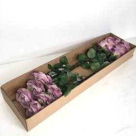 12 x Lilac Mia Rose 56cm