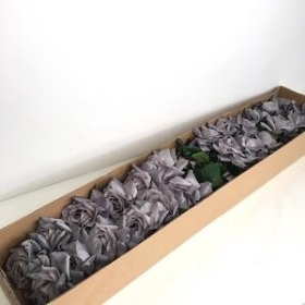 24 x Light Grey Rose 65cm