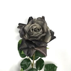 24 x Dark Grey Rose 65cm