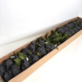 24 x Dark Grey Peony 62cm