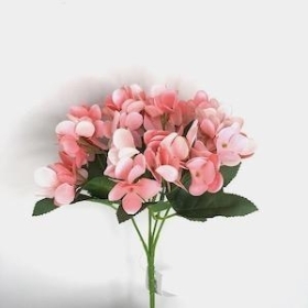36 x Pink Hydrangea Bush 24cm