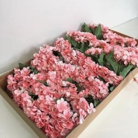 36 x Pink Hydrangea Bush 24cm