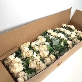 36 x Ivory Rose And Hydrangea Bush 31cm