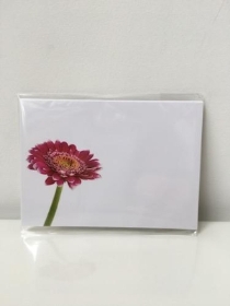 Large Florist Cards Plain Gerbera Design