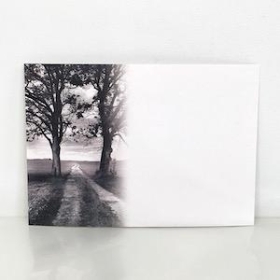 Trees Florist Cards x 6