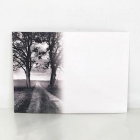 Florist Cards Plain Trees x 6