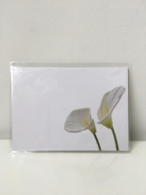 Large Florist Cards Plain White Calla Design