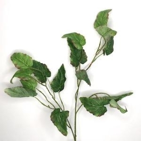 Green Begonia Leaf Spray 65cm