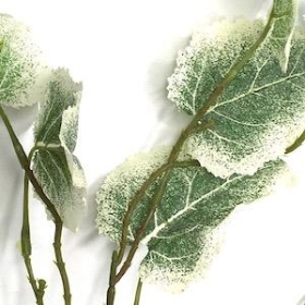 Variegated Begonia Leaf Spray 65cm