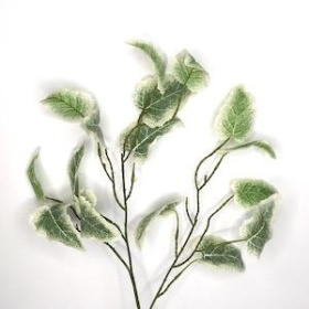 Variegated Begonia Leaf Spray 65cm