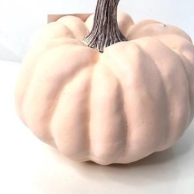 Pink Pumpkin 14cm