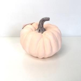 Pink Pumpkin 14cm