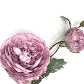 Lilac Peony 68cm