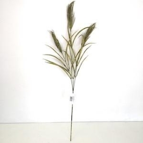 Green Wheat Spray 75cm