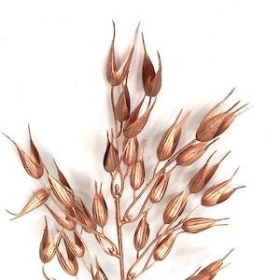 Copper Metallic Barley 40cm